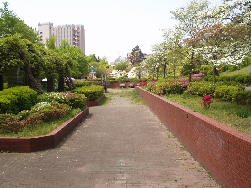 img0060.jpg