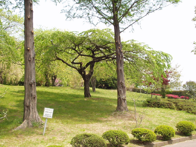 img0061.jpg