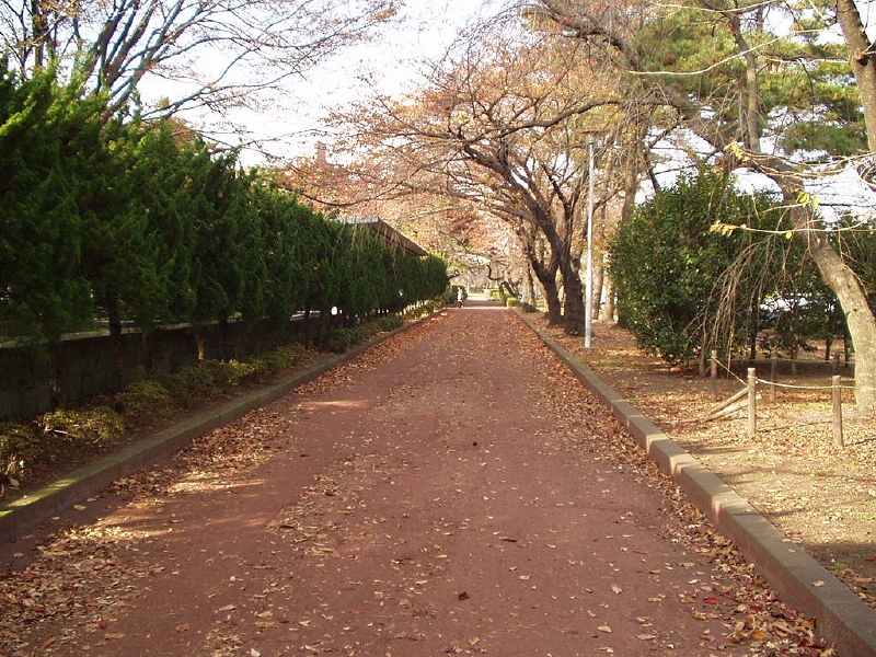 img0063.jpg