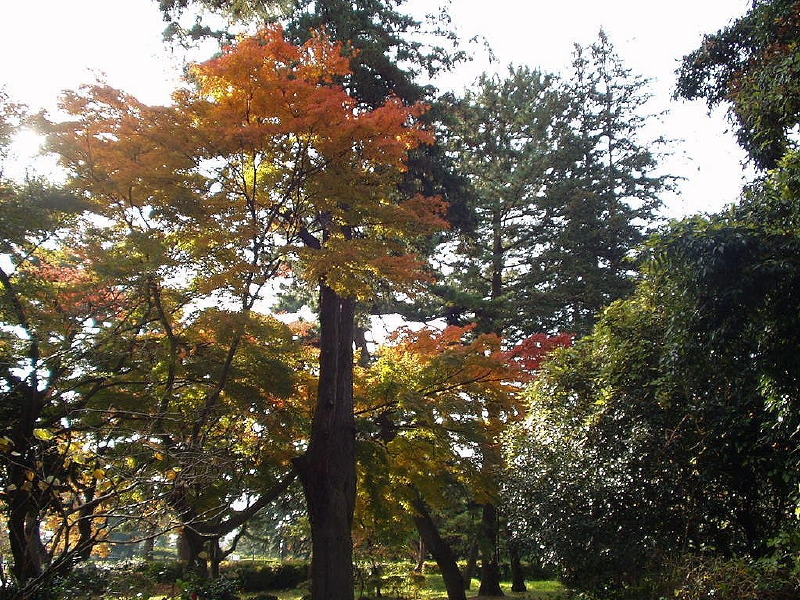img0064.jpg