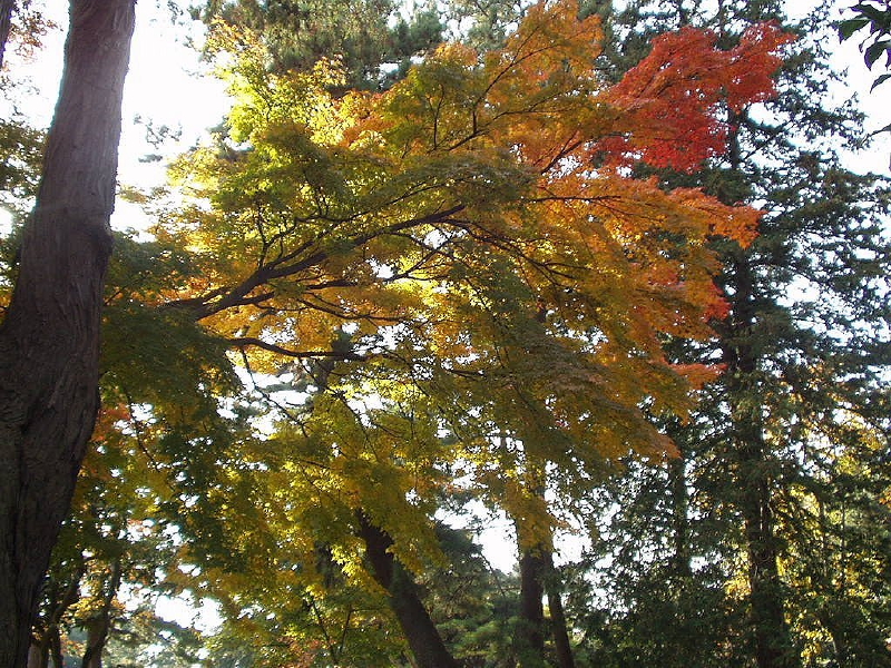 img0065.jpg