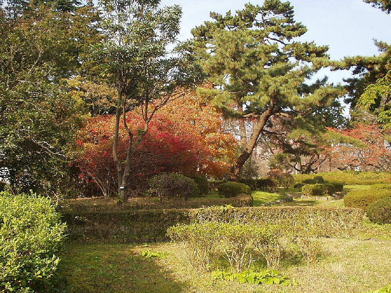 img0066.jpg