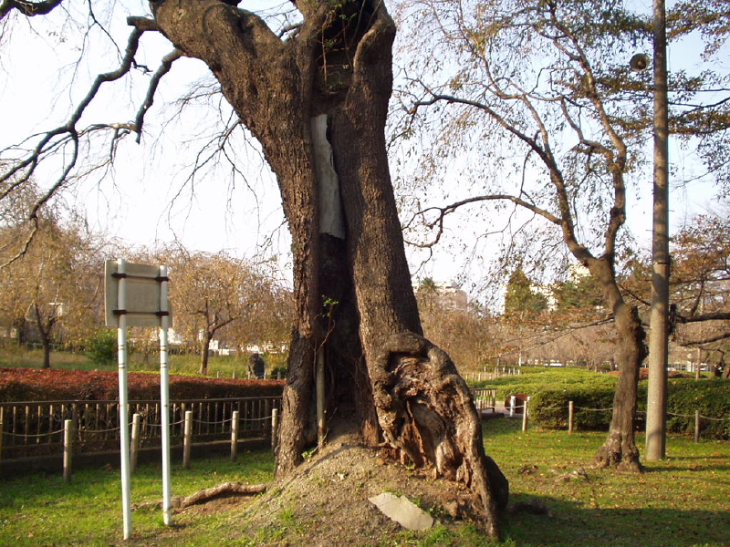 img0071.jpg