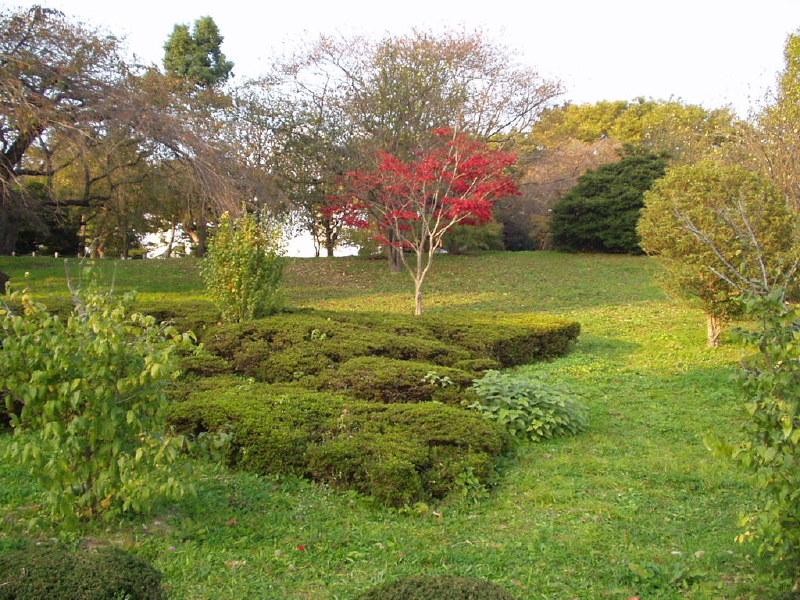 img0072.jpg