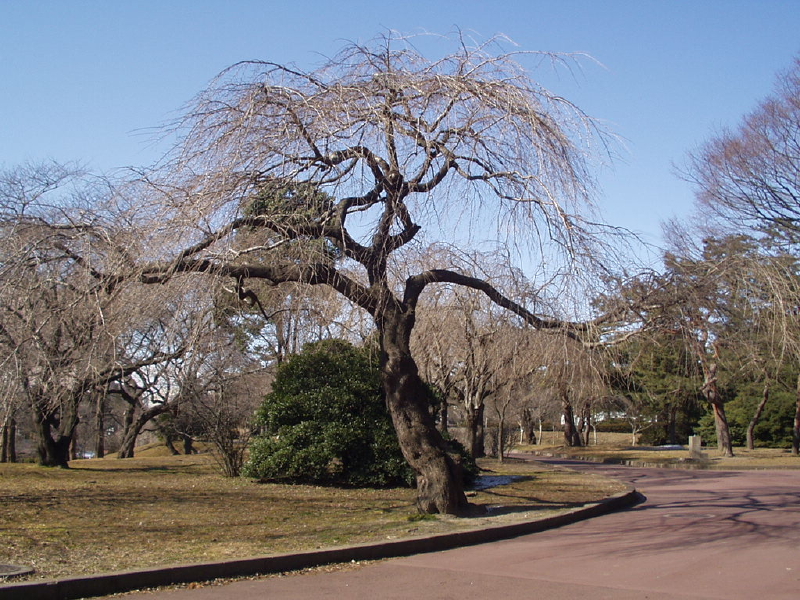 img0074.jpg