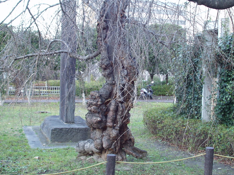img0076.jpg