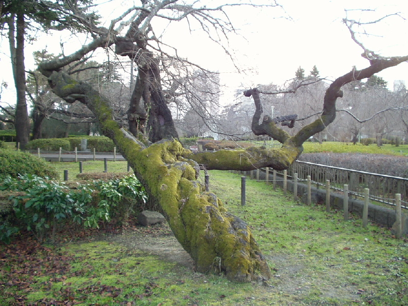 img0077.jpg