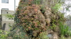 img0008.jpg