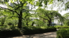 img0011.jpg