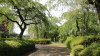 img0012.jpg