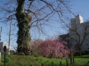 img0013.jpg