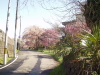 img0014.jpg