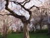 img0015.jpg