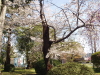img0017.jpg