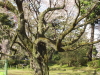 img0018.jpg