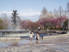 img0019.jpg