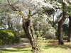 img0021.jpg
