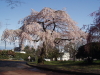 img0022.jpg