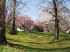 img0024.jpg