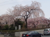 img0025.jpg
