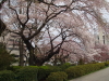 img0026.jpg