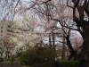 img0027.jpg