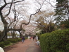 img0028.jpg