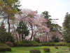 img0029.jpg