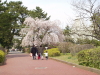img0030.jpg
