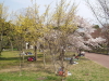 img0032.jpg