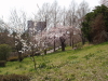 img0033.jpg