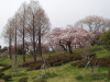 img0034.jpg