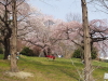 img0035.jpg