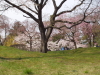 img0036.jpg