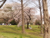 img0037.jpg