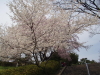img0039.jpg