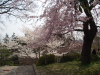 img0040.jpg