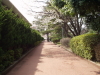 img0042.jpg