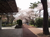 img0043.jpg