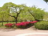 img0045.jpg