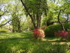 img0051.jpg