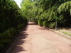 img0054.jpg