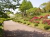 img0057.jpg