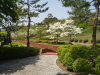 img0059.jpg