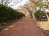 img0063.jpg