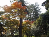 img0064.jpg