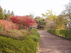 img0067.jpg