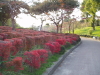 img0073.jpg