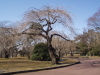 img0074.jpg