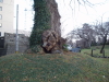 img0075.jpg
